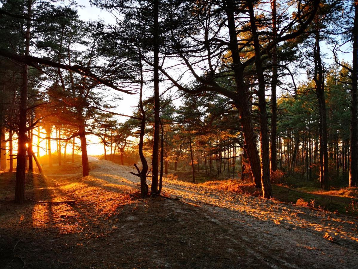 Sunny Pines Apartment Паланга Экстерьер фото
